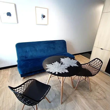 Alfahome Apartment Lodz (Lodz)